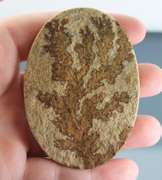 Huge! 253.52ct German Psilomelane Dendrite