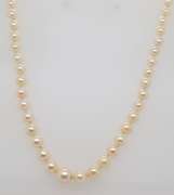 Graduated Seed Pearl Necklace