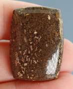 Rich 30.37ct cabochon cut from dinosaur bone