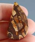 Liquid luster 31.29ct Boulder Opal