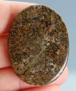 Awesome 54.48ct cabochon cut from dinosaur bone