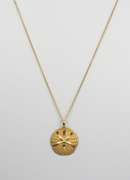 Sand Dollar Pendant on Necklace