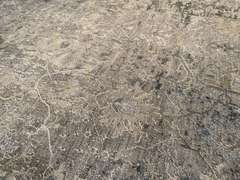 EXQUISITE MODERN RUG 8x10