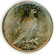 1924 Peace Silver Dollar