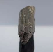 Huge! 265.50ct all natural uncut black Tourmaline