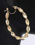 Pleasing 14kt Tri Color Twisted Hoop Earrings