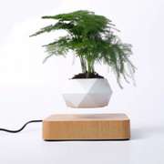 Hot Sale Levitating Air Bonsai Pot Rotation Planters