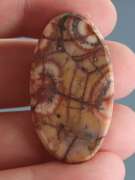Stunning 43.80ct American Leopard Skin Jasper