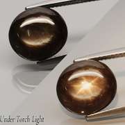 Stunning 8.12ct unheated Star Sapphire