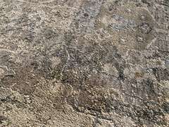 EXQUISITE MODERN RUG 8x10