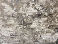 EXQUISITE MODERN RUG 8x10
