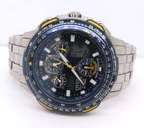Citizen Blue Angels Watch