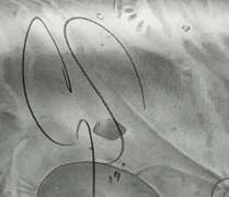 Oscar Cory Smith Hand Colored Print