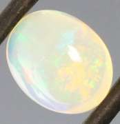 Floral fairy fire! 1.59ct Welo Jelly Opal