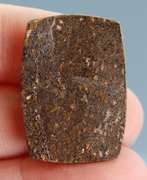 Rich 30.37ct cabochon cut from dinosaur bone