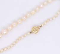 Graduated Seed Pearl Necklace