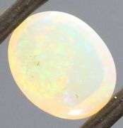 Floral fairy fire! 1.59ct Welo Jelly Opal