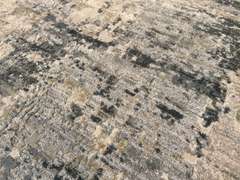 Exquisite Modern Rug 8x10