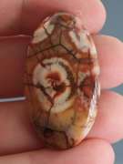 Stunning 43.80ct American Leopard Skin Jasper