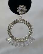 A Very Sexy Fashion Design Hoop Earrings