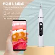 Visual Dental Scaler Tartar Calculus Removal Ultrasonic