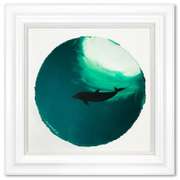 Dolphin Swimming Deep