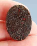 Multi toned 25.16ct cabochon cut from dinosaur bone
