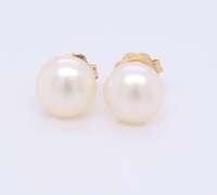 Fancy Yellow Gold 6mm Pearl Stud Earrings