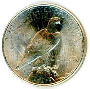 1925 Peace Silver Dollar
