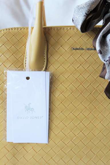 An Eye-catching Designer Bag By David Jones-Paris