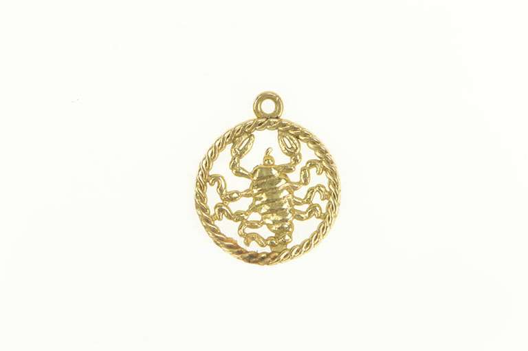 14K Yellow Gold Scorpion Zodiac Scorpio Star Astrology Charm/Pendant