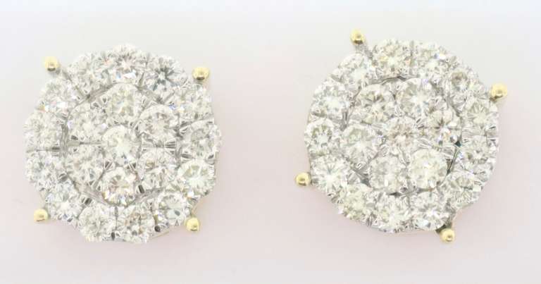 Coiling Diamond Cluster Earrings with 14k Yellow Gold