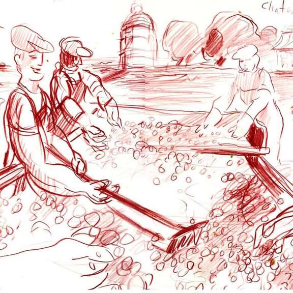 Harvest at Chateau Latour (Bordeaux) Original by Ensrud