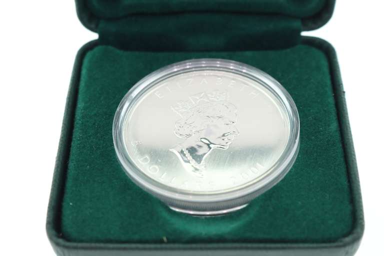 1oz silver maple leaf coloured coin