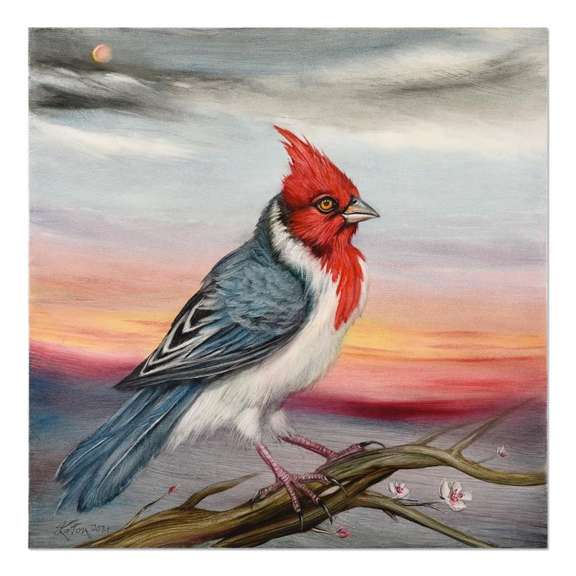 Red Crested Cardinal Original by Katon