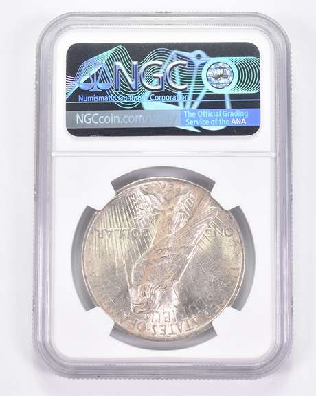 Mint Error MS61 1924 Peace Silver Dollar - REV Lamination - Graded NGC