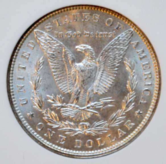 1897 Top 100 Vam 6A Pitted Reverse MS 64 Morgan