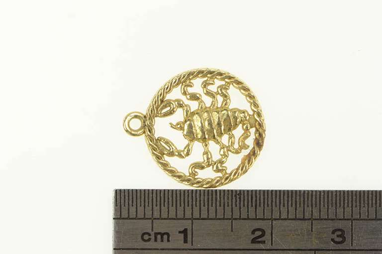 14K Yellow Gold Scorpion Zodiac Scorpio Star Astrology Charm/Pendant