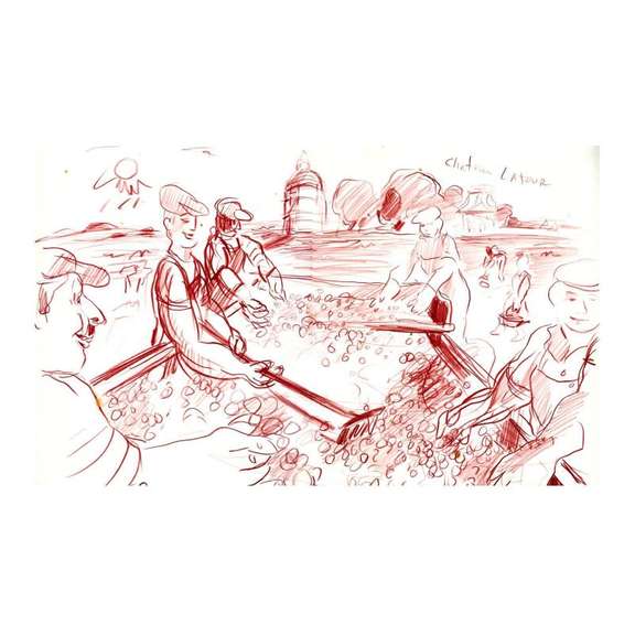 Harvest at Chateau Latour (Bordeaux) Original by Ensrud