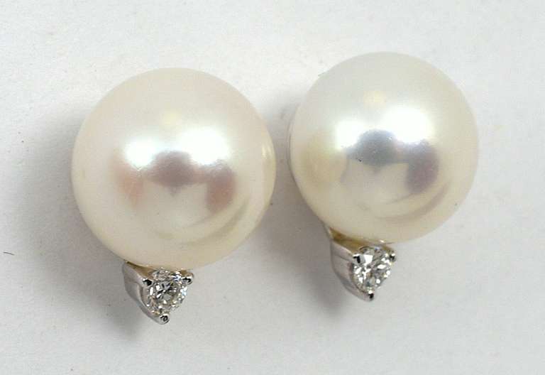 Charming Pearl & Diamond Stud Earrings in 14K WG