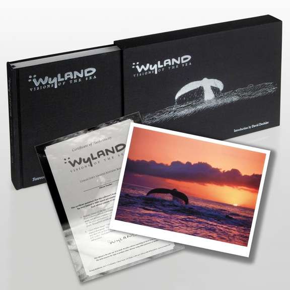 Visions Of The Sea Book by Wyland