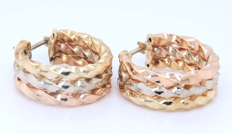 Handsome Tri Color Gold Twisted Hoop Earrings