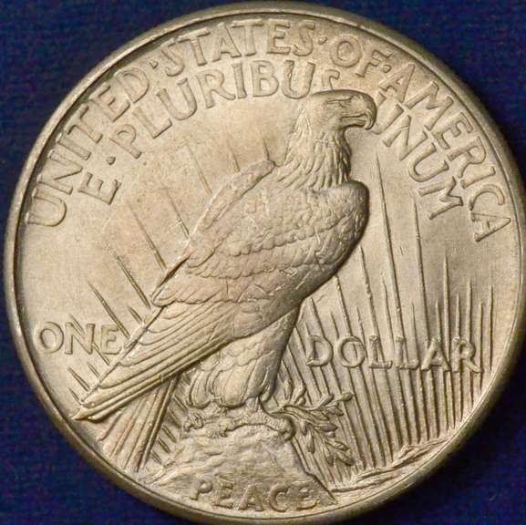 1921 High Relief Peace Silver Dollar VAM-1H, Circulated.