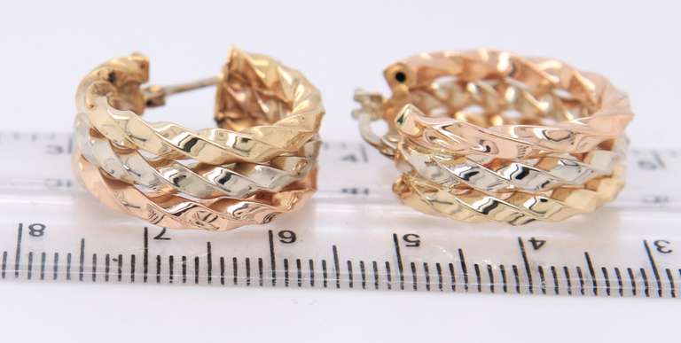 Handsome Tri Color Gold Twisted Hoop Earrings