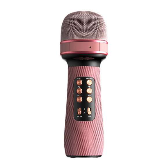 Wireless Bluetooth FM Radio Audio Condenser Microphone