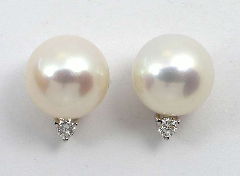 Charming Pearl & Diamond Stud Earrings in 14K WG