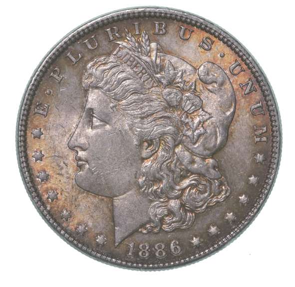 1886 Morgan Silver Dollar Toned Great Color!