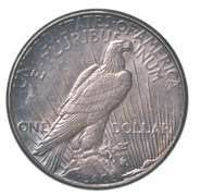 1923-S Peace Silver Dollar Crusty Toning