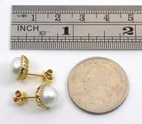 Proper Pearl & Diamond Stud Earrings in 14K YG