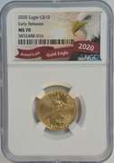Flawless 2020 $10 Gold Eagle. NGC MS70 Early Releases